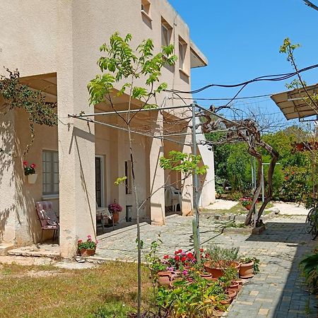 The Grapevine Guest House 파포스 외부 사진